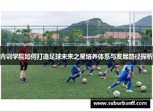 青训学院如何打造足球未来之星培养体系与发展路径探析