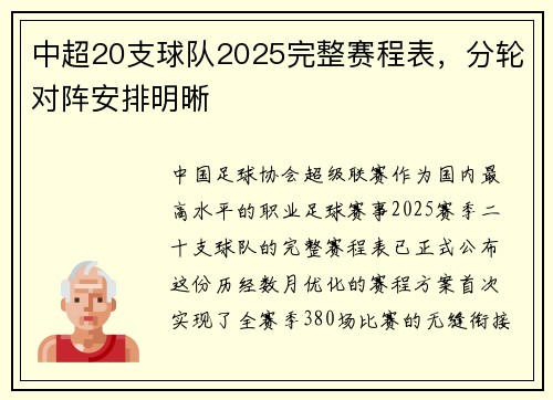 中超20支球队2025完整赛程表，分轮对阵安排明晰